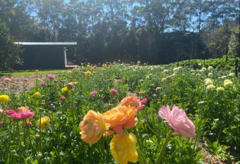 Flower Farm Tamborine Mountain allows 18 year olds to book a room