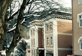 Hotel Richthofen has Balcony rooms