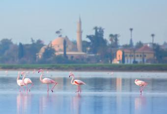 Hotel Indigo Larnaca, an IHG Hotel-ADULTS ONLY allows 18 year olds to book a room