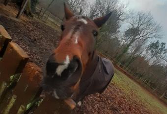 Domaine de l   Escuderia has Balcony rooms