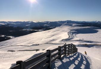 Ferienwohnung Klauber Sch  der has Balcony rooms