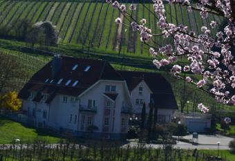 Castell Hotel & Restaurant allows 18 year olds to book a room