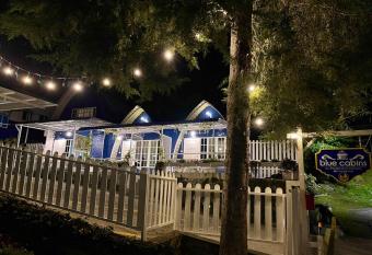 Blue Cabins By Pfordten Cottage allows 18 year olds to book a room