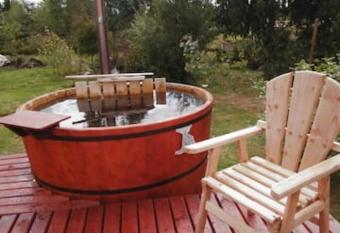 Caba  as Troncos de Alerce en Puerto Montt con tinaja caliente allows 18 year olds to book a room