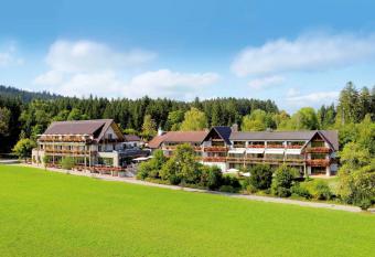 Hotel Gr  ner Wald has Balcony rooms