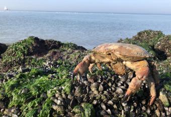 PuraVida allows 18 year olds to book a room