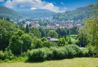 Sonnenhof allows 18 year olds to book a room