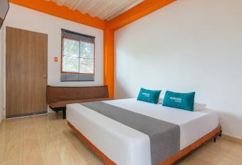 Ayenda Brisas del Caribe allows 18 year olds to book a room