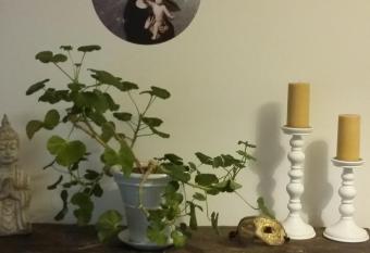 AROHA allows 18 year olds to book a room