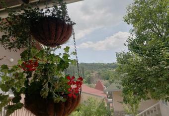 Apartmani Popovic has Balcony rooms