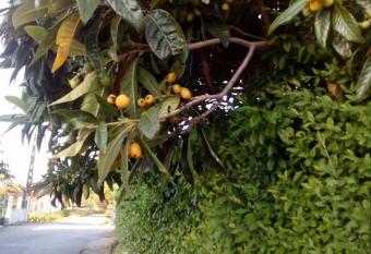 Casa da Nespereira- lugar acolhedor rodeado de natureza has Balcony rooms