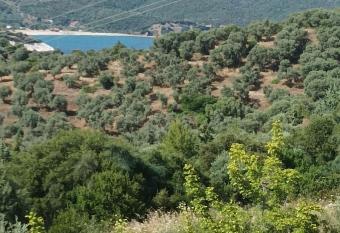 Art Hotel Panorama has Balcony rooms