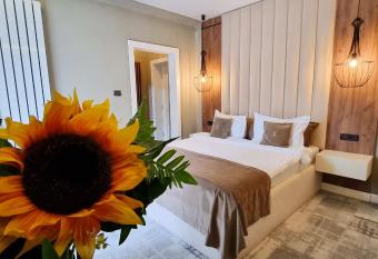 Elexus Boutique has Balcony rooms