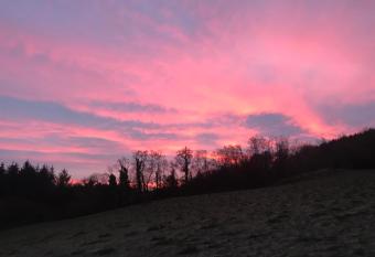 Forest View - Castlewellan, County Down has Balcony rooms