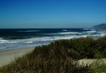 AFIFE  has Balcony rooms