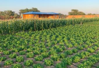 Sweihan Inn Farm has Balcony rooms