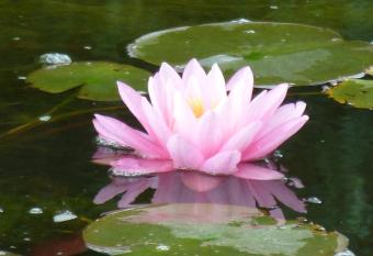 Gartenhotel Heusser has Balcony rooms