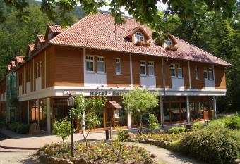 Kurpark Flair Hotel Im Ilsetal allows 18 year olds to book a room