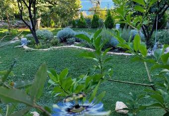 Apartmani VERONA has Balcony rooms