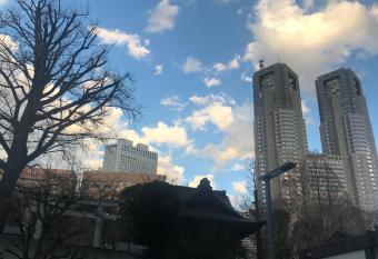 Tokyo shinjukutei Hotel Asahi gruop                          has Balcony rooms