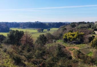Machida Casa Vacanza Trigoria has Balcony rooms