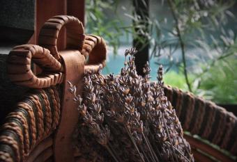 Guest House Lucijo has Balcony rooms