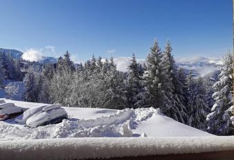 T2 Edelweiss chamrousse 1750 acces piste direct local ski alpes montagne has Balcony rooms