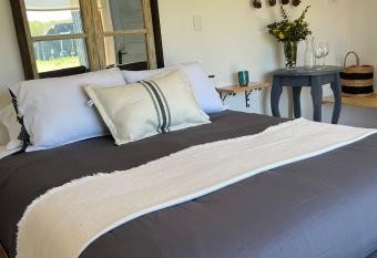 Nenquen Lodge has rooms with a private hot tub