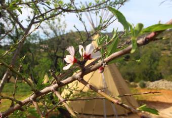 MasBelvedere allows 18 year olds to book a room