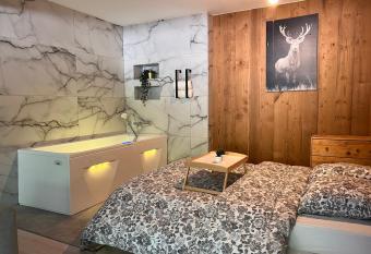 Hohneck - Studio de Montagne La Bresse / Gerardmer has rooms with a private hot tub