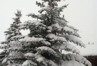 Teton Valley Cabins has Balcony rooms