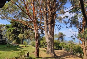 La Maima has Balcony rooms
