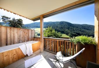 Sonnleiten - Apt. 2 Sonnenadler has Balcony rooms