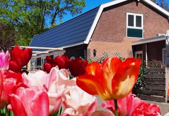 B&B De Hoffstal allows 18 year olds to book a room