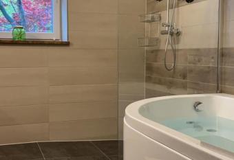 Stadtvilla Intzeplatz - Apartment Borkum has rooms with a private hot tub