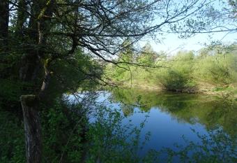 La Chambre des Carrelets has Balcony rooms