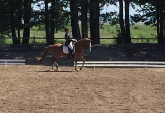 Sassi Talu Horsefarm allows 18 year olds to book a room