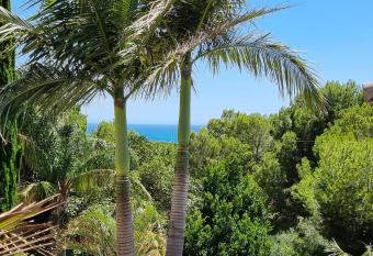 Villa Reina has Balcony rooms