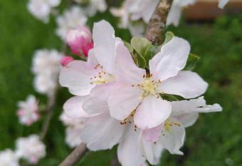 Fewo Frank allows 18 year olds to book a room