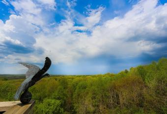 Treetop Retreat has rooms with a private hot tub