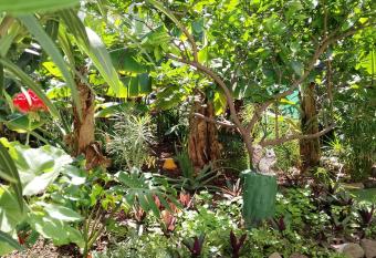 Happy Home Hello allows 18 year olds to book a room