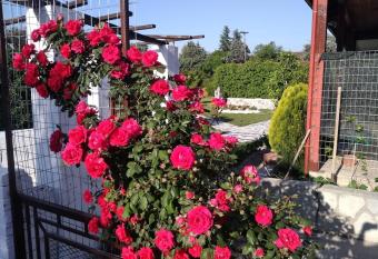 Green house - Apartment in Aridaia-Loutra Pozar has Balcony rooms
