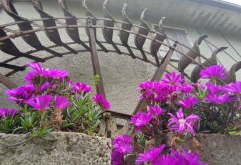 Casa Agnese Verona appartamento parcheggio in struttura allows 18 year olds to book a room