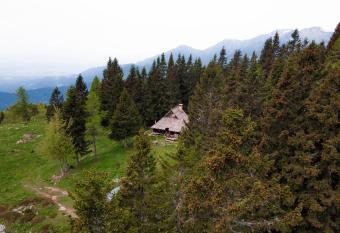 Chalet Pinja - I FEEL ALPS allows 18 year olds to book a room