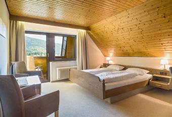 Drei Tannen - Wohnung 10 - Apartmenthaus, Titisee, Feldberg has Balcony rooms