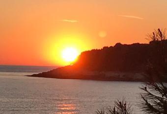 Patricia 1987 has Balcony rooms