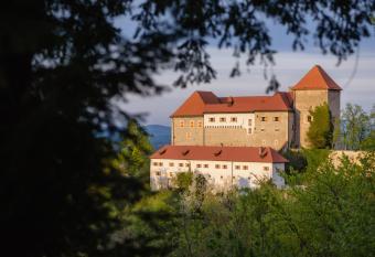 Rooms & Apartments Podsreda Castle has Balcony rooms