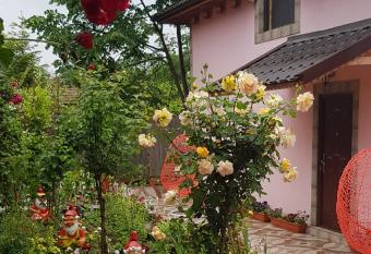 Pensiunea Happy Flowers has Balcony rooms