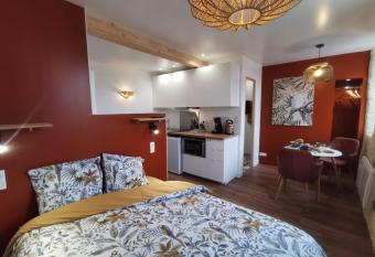 Les appartements du centre, refaits    neuf, climatis  s, hyper centre, 50m    pieds des commerces, restaurants, parking gratuit allows 18 year olds to book a room