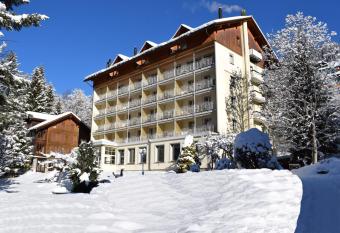 Hotel Wengener Hof has Balcony rooms